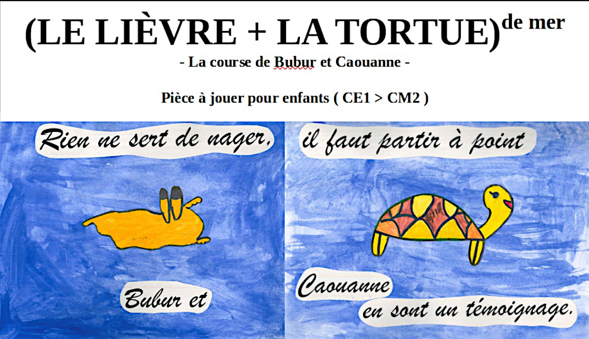 ( LE LIÈVRE + LA TORTUE ) DE MER